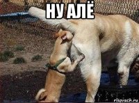 ну алё 