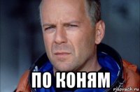  по коням