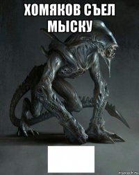 хомяков съел мыску 