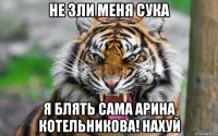 не зли меня сука я блять сама арина котельникова! нахуй