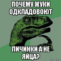 почему жуки одкладовоют личинки а не яйца?