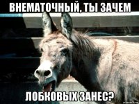 внематочный, ты зачем лобковых занес?