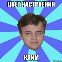 цвет настроения клим