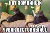 кот помойный чувак отстойный )))