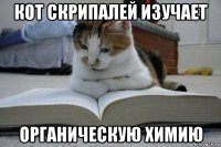 кот скрипалей изучает органическую химию