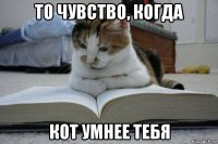 то чувство, когда кот умнее тебя