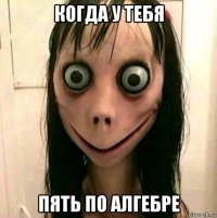 когда у тебя пять по алгебре