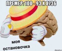 премер: 100 - 93 х 8736 