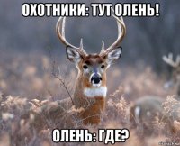 охотники: тут олень! олень: где?