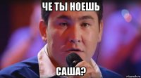 че ты ноешь саша?