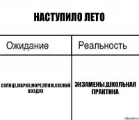 Наступило лето Солнце,жарко,море,пляж.свежий воздух Экзамены,школьная практика