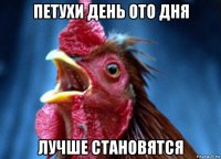 петухи день ото дня лучше становятся