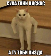 сука гони вискас а ту тоби пизда