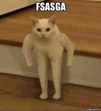 fsasga 