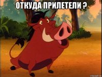 откуда прилетели ? 