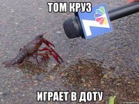 том круз играет в доту