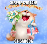 жезде султан! от:бакось