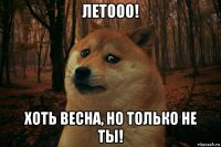 летооо! хоть весна, но только не ты!