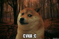  сука :c