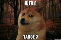 што я такое ?