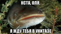 кста, оля, я жду тебя в унитазе
