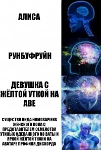 Алиса Рунбуфруйн Девушка с жёлтой уткой на аве Существо вида homosapiens женского пола с представителем семейства утиных сделанного из ваты и яркой жёлтой ткани на аватаре профиля дискорда