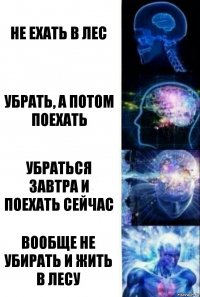 не ехать в лес убрать, а потом поехать убраться завтра и поехать сейчас вообще не убирать и жить в лесу