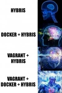 hybris docker + hybris vagrant + hybris vagrant + docker + hybris