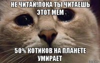 не читай!пока ты читаешь этот мем 50% котиков на планете умирает