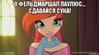 о фельдмаршал паулюс... сдавайся сука! 