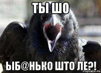 ты шо ыб@нько што ле?!