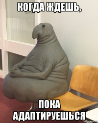 когда ждешь, пока адаптируешься