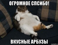 огромное спсибо! вкусные арбузы