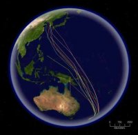 Создать мем Bar-tailed godwit migration