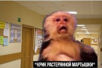 Создать мем Крик