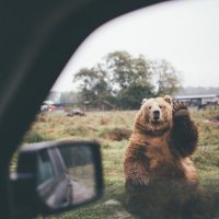 Создать мем Меркель бай-бай