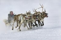 Создать мем Мы поедем мы помчимся