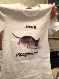 Создать мем Мыш