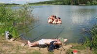 Создать мем Риба