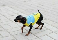 Создать мем Украинство в одном фото