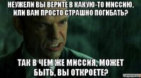 неужели вы верите в какую-то миссию, или вам просто страшно погибать? так в чем же миссия, может быть, вы откроете?
