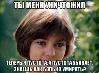 ты меня уничтожил теперь я пустота. а пустота убивает. знаешь как больно умирать?
