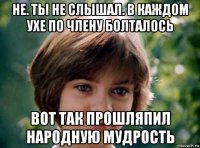 не. ты не слышал. в каждом ухе по члену болталось вот так прошляпил народную мудрость