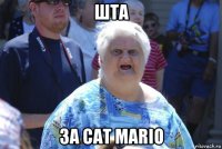 шта за cat mario