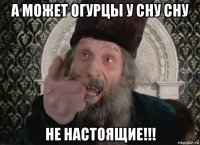 а может огурцы у сну сну не настоящие!!!