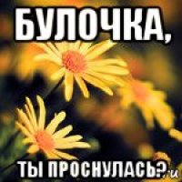 булочка, ты проснулась?