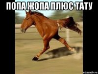 попа жопа плюс тату 