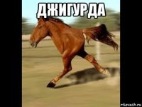 джигурда 