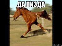да пизда 
