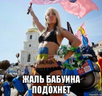  жаль бабуина подохнет